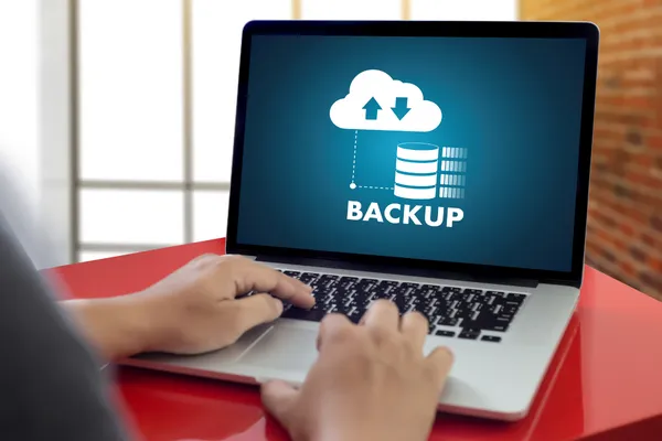 Regular Backups