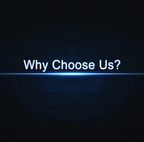 Why Choose Us For Digital Advertiser Service 