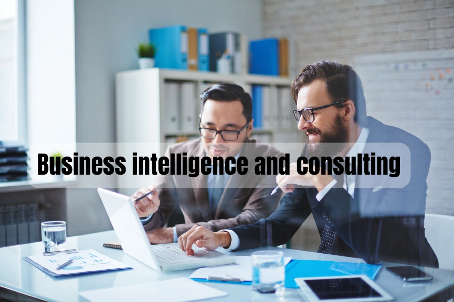 Business Intelligence And Consulting